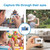 Laser Mini Digital Camera Blue for Kids capture the world through their eyes