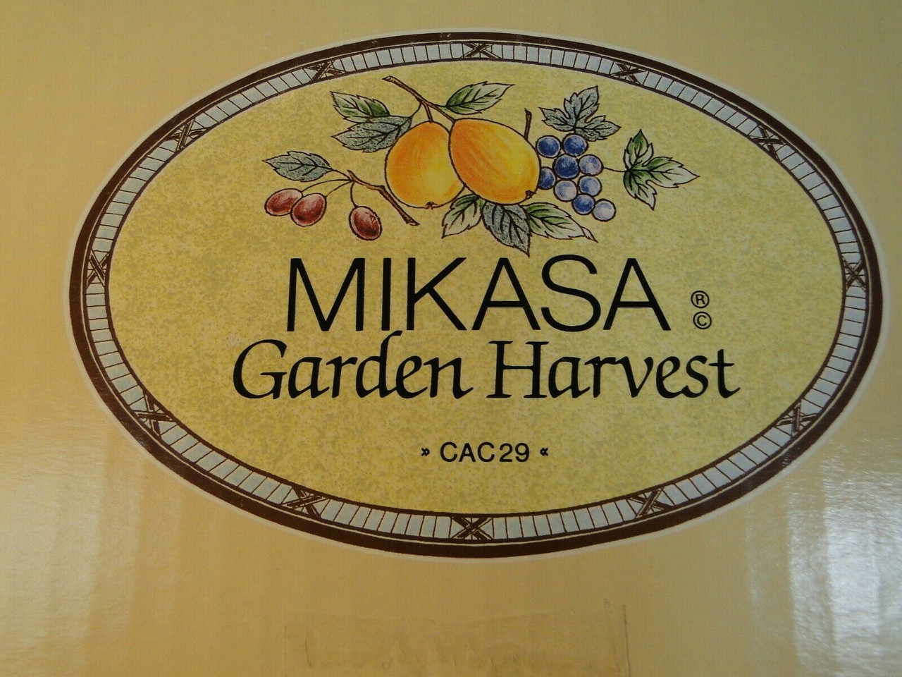 Mikasa Garden Harvest 5 Pc Place Setting CAC29 Intaglio New Orig Box  Excellent