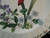 Mikasa Summer Symphony Dinner Plates 10 3/4" CAJ14 Maxima Floral Set 2 Excellent