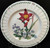 Mikasa Summer Symphony Dinner Plate 10 3/4" CAJ14 Maxima Floral | DR Vintage Dinnerware and Replacements