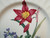 Mikasa Summer Symphony Dinner Plate 10 3/4" CAJ14 Maxima Floral Excellent