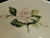 Homer Laughlin HLC342 Tea Cup Saucer Sets Grey Band Pink Flowers 2 Excellent