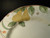 Mikasa Fruit Panorama Salad Plates 8 3/8" DC014 Set of 4 Excellent