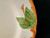 Franciscan Apple Dinner Plates 10 5/8" Vintage USA TV Stamp Set 4 Excellent
