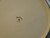 Bond Fine China Pompadour Rose Dinner Plate 10" Moss Rose 50's L & M Excellent