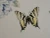 Lenox Butterfly Meadow Blue Dinner Plate 10 7/8" Excellent