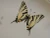 Lenox Butterfly Meadow Swallowtail Dinner Plates 10 7/8" Set of 2 Excellent