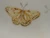 Lenox Butterfly Meadow Fritillary Dinner Plates 10 7/8" Set of 2 Excellent