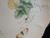 Lenox Butterfly Meadow Dragonfly Dinner Plates 10 7/8" Set of 2 Excellent