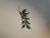Nikko Happy Holidays Oval Baker 13 1/4" Christmas Tree Japan Holly Excellent