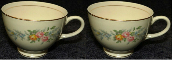 Homer Laughlin Eggshell Nautilus Ferndale Tea Cups set of 2 | DR Vintage Dinnerware and Replacements