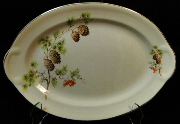 Taylor Smith Taylor Pine Cone Oval Serving Platter 11 3/4" TST 1649 | DR Vintage Dinnerware and Replacements