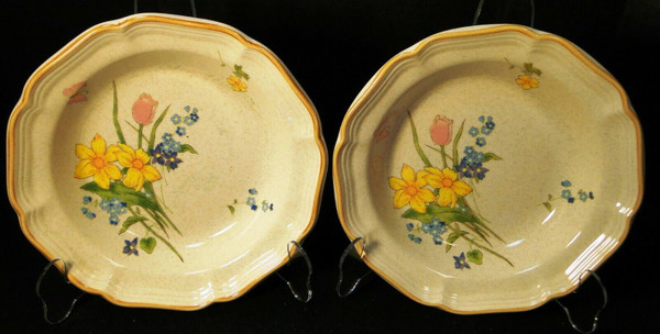 Mikasa Early Spring Soup Bowls 8 1/2" EC 408 Garden Club Set of 2 | DR Vintage Dinnerware and Replacements