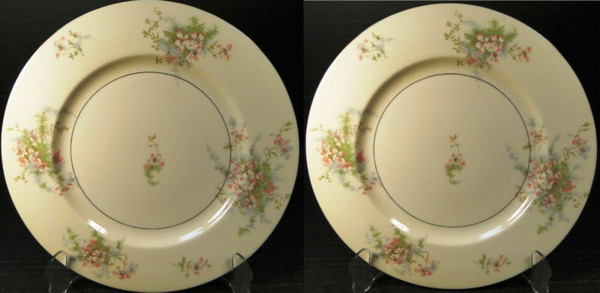 Theodore Haviland NY Apple Blossom Larger Dinner Plates 10 3/4" Set 2 Excellent