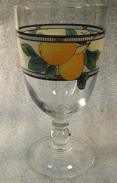 Mikasa Garden Harvest Glass Goblet Water Ice Tea 14 Oz CAC29 Excellent