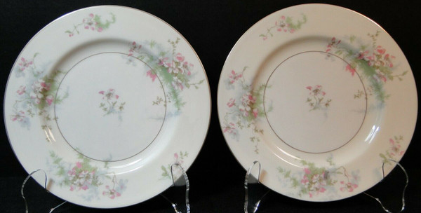 Theodore Haviland NY Apple Blossom Salad Plates 7 1/2" Set of 2 | DR Vintage Dinnerware Replacements