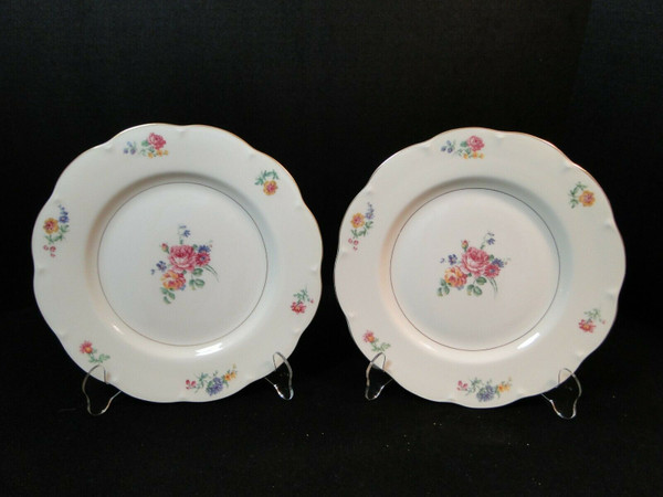 Theodore Haviland NY Chapelle Dinner Plates 10 1/4"  Set of 2 | DR Vintage Dinnerware and Replacements
