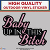 Baby Up In This Bitch, High Quality Vinyl Stickers New Colorado Sticker