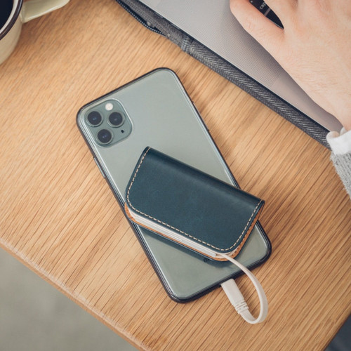 MOSHI IonGo 5K Portable Battery with built-in Lightning and USB-A Cables - Azur