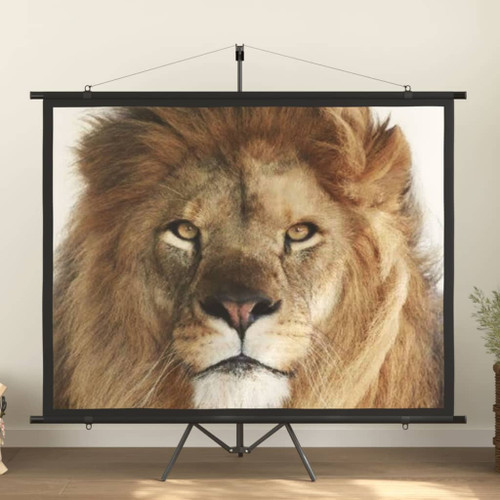 vidaXL Projection Screen 100" 4:3