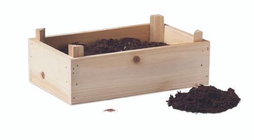 STRAWBERRY MO6506-40