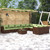 vidaXL 10 Piece Garden Lounge Set with Cushions Poly Rattan Brown