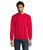 SPIDER S01168-RD-L