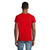 CRUSADER MEN S03582-RD-L