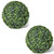 vidaXL Artificial Boxwood Balls 2 pcs 35 cm