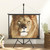 vidaXL Projection Screen with Tripod 50" 4:3