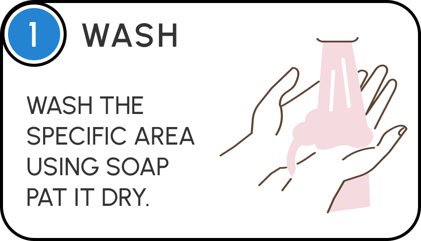 Wash Wash