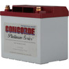 CONCORDE RG-25XC PLATINUM AIRCRAFT BATTERY