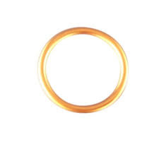 06E19769-1-00 Lycoming Annular Gasket 1.000 ID