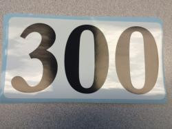 MOD 300 Decal