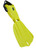 Yellow Seawing Nova