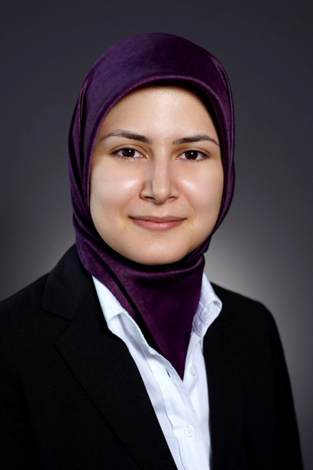 20230203 - Understanding the use of technology, automation and AI in immigration - expired for CICC 3 February 2024