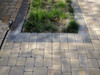 Fertilizer Rust Stains over colored pavers 