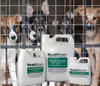 SealGreen Kennel Sealer made for commercial use. Now available for home owners