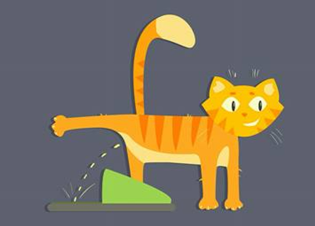 how-to-clean-cat-urine-off-concrete-floors-sealgreen