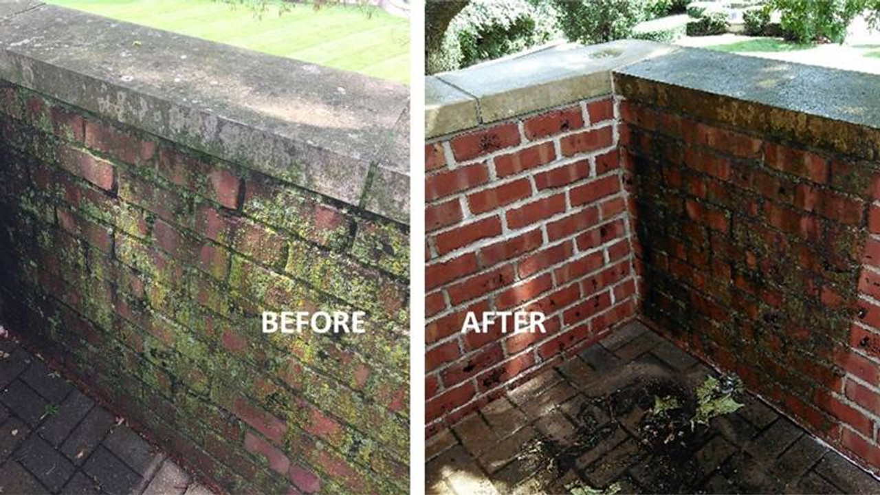 How to Clean Mold Off Brick