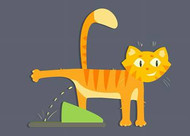 How to Clean Cat Urine off Concrete floors