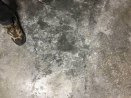 How to recognize humidity in a basement or a concrete floor How to recognize humidity in a basement or a concrete floor