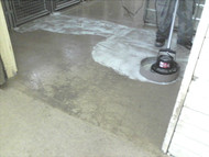 Should I clean the New or old concrete floor before I apply the SealGreen Kennel Sealer Should I clean the New or old concrete floor before I apply the SealGreen Kennel Sealer