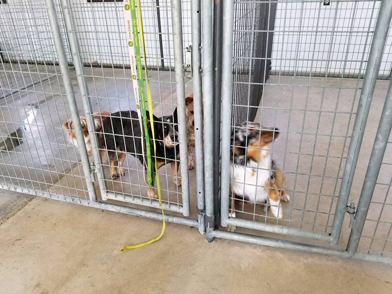 What is the difference between a sealer and an epoxy