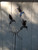 Metal Yard Art Hummingbird sculpture with 3 Hummingbirds by The Lazy Scroll