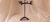 Cat Roof Mount Weathervane 