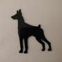 Doberman Refrigerator Magnet