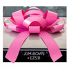 Breast Cancer Awareness "Jum-Bow" Car Bow