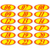 Red & Yellow Two Digit Oval Year Model {EZ225-R}