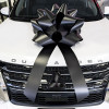 Premium Car Bows